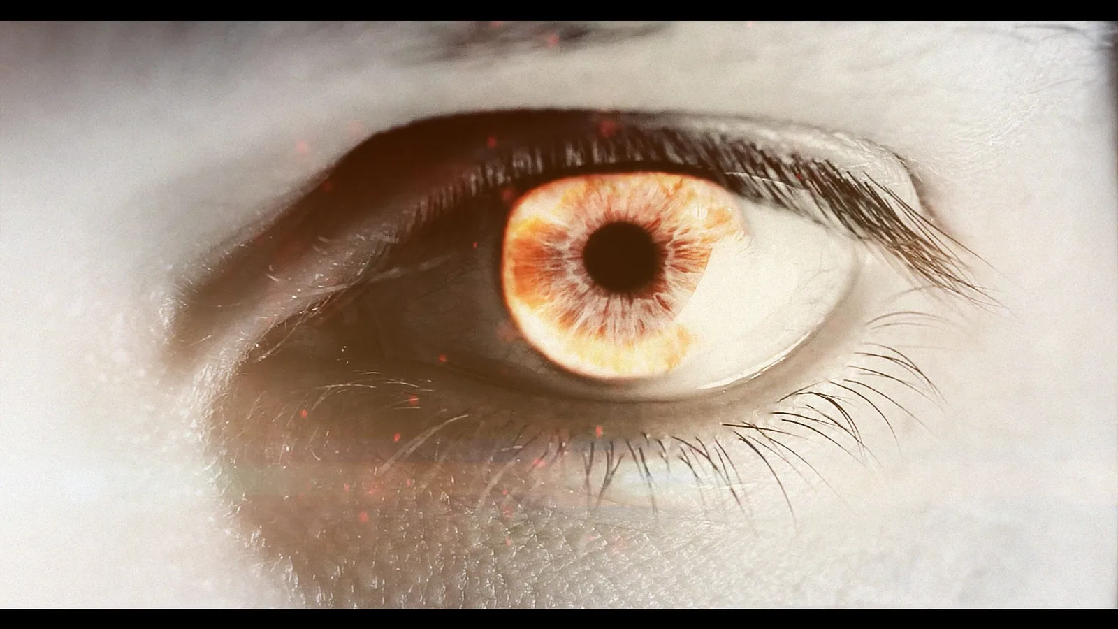 His eyes were like a flame of fire, and on His head were many crowns — Revelation 19:12