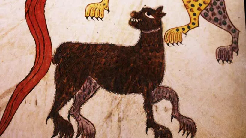 The Bear